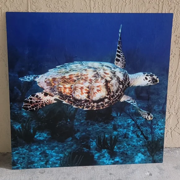 Aluminum Sea Turtle Ocean Wall Art 30x30